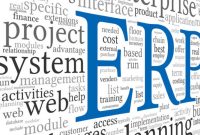 ERP Project Management